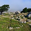 P1210255