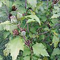 20141013_185456
