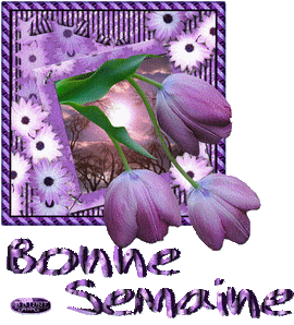 Bonjour tout le monde - Page 18 96252205_o