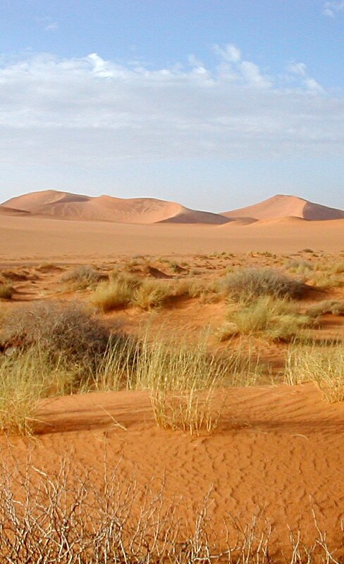 1998-Sahara