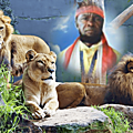 Kongo dieto 2981 : le lundi 7 aout soulevement de la jeunesse congolaise !