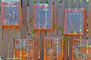 Calendrier-des-7-lunes-43