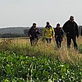 IMGP7495