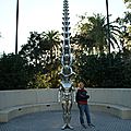City park (8)