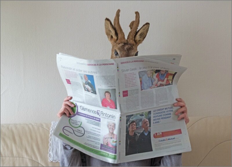 chevreuil journal 2 150417