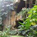 2011 - Les Serres Tropicales du Jardins des Plantes