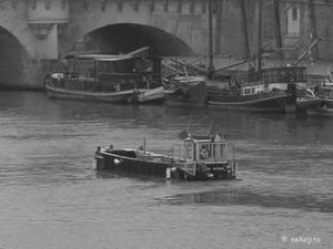 IMG_9842c