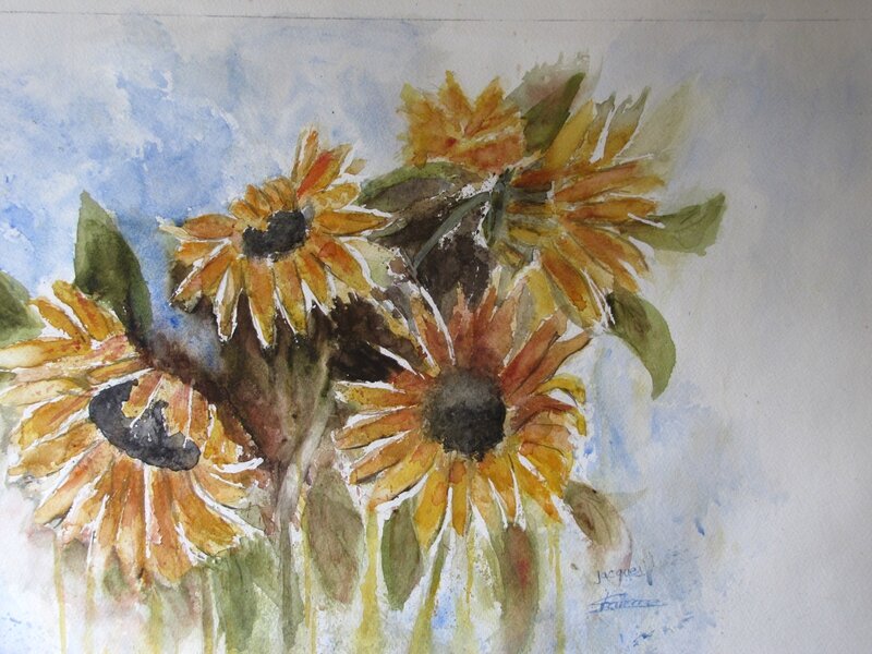 Essaie Tournesol n°2