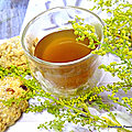Bienfaits de l'artemisia et de la poudre du fruit du graviola corossol dans une infusion avec du miel.