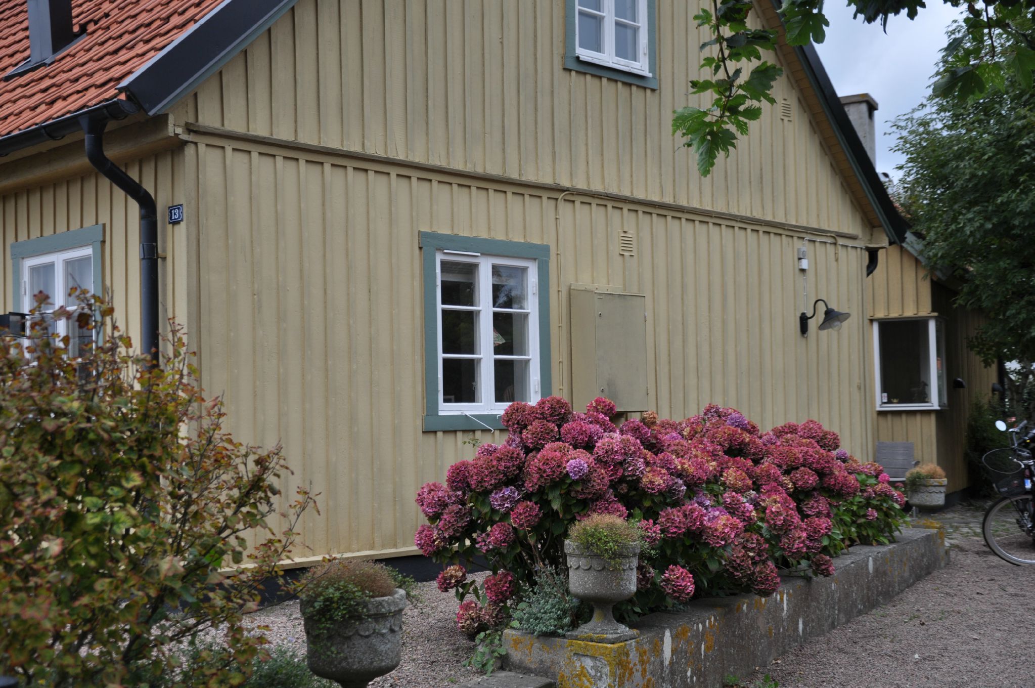 DSC_1262