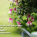 C'est fou ! ? chacun se dit ami ; mais fol qui s'y repose. rien n'est plus commun que ce nom ; rien n'est plus rare que la chose