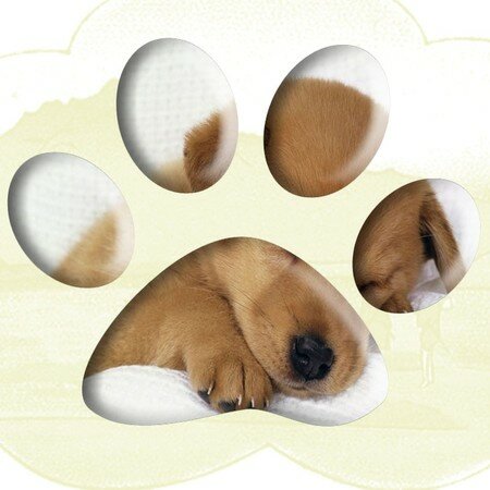 doggy