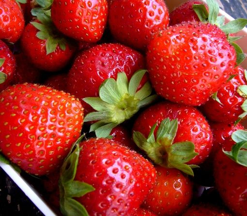 fraise 118cm