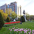 BOSTON COMMON PARK (201).JPG