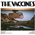 The vaccines – pick-up full of pink carnations (2024)