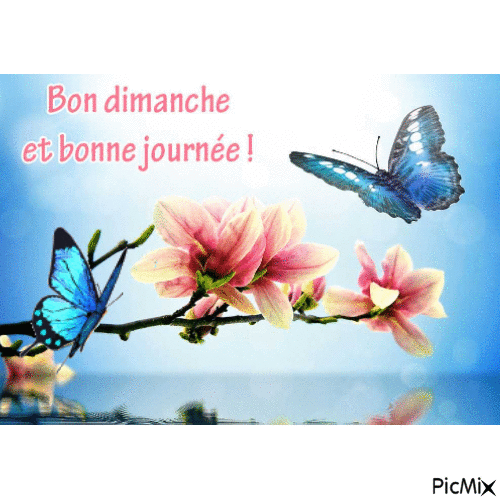 Bon dimanche