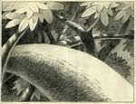 PDVD_340