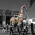 Fremont Fair Solstice Parade 12
