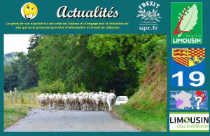 act-chiens-correze
