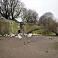 _IGP2561