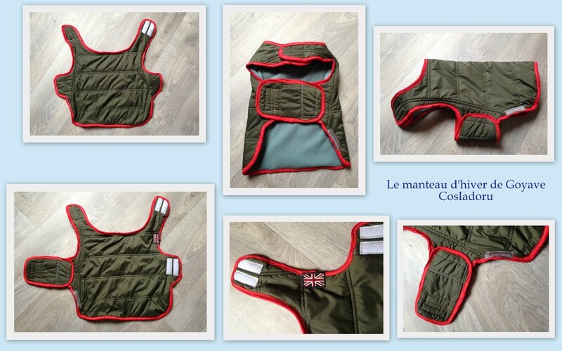 le manteau d'hiver de Goyave1