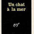 Un chat à la mer