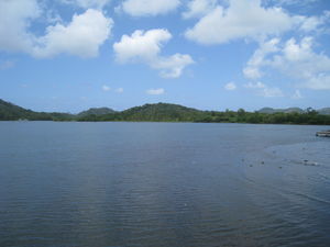 IMG_0367