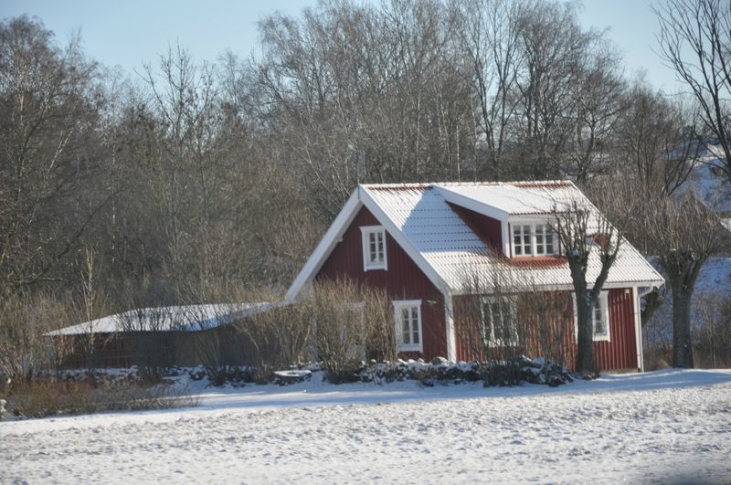 DSC_1272