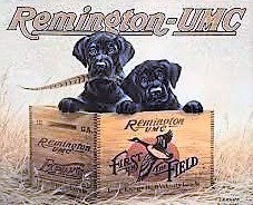 Etat Des Chiens De Chasse En France Fcm 2500