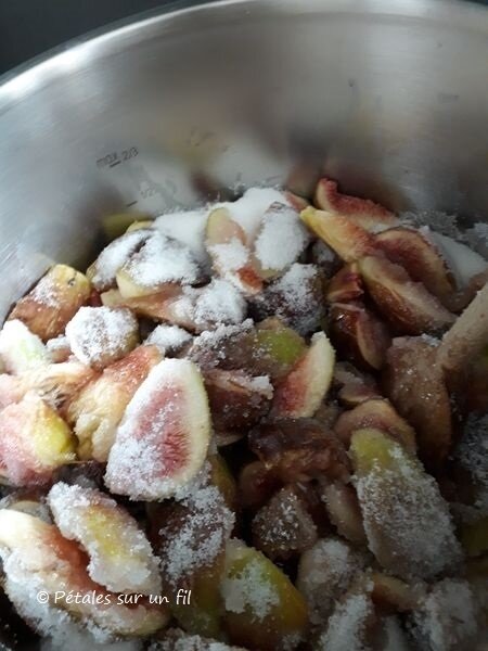 figues2018