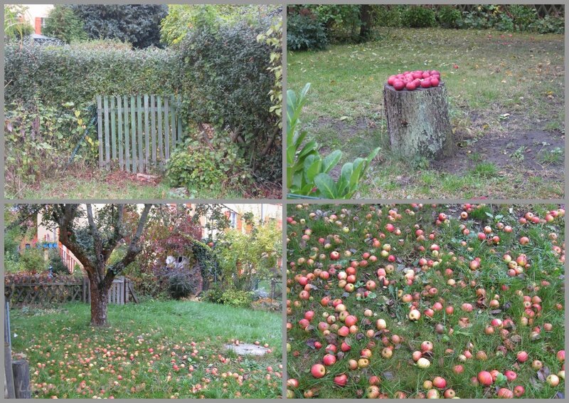 Pommes pommes pommes