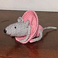 souris3