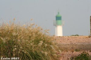 8_octobre_2007_170_copie
