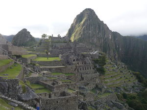 P1020953