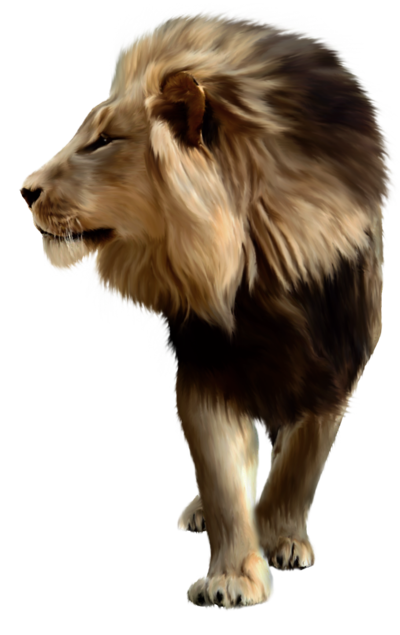 lion_png_by_jess8181-d3l9820