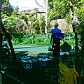 DSCN8779