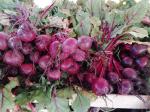 betteraves rouges botte