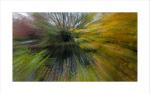 zoom automne 171116 8
