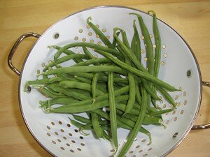 Haricots