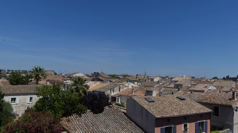 P1030587 (2)