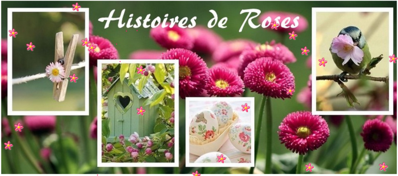 HISTOIRES DE ROSES
