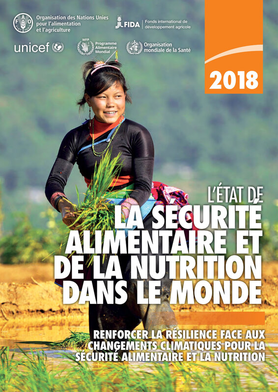 Rapport sur l'état de la sécurité alimentaire dans le monde 2018 de la FAO (11 septembre 2018) i9553fr (couverture)