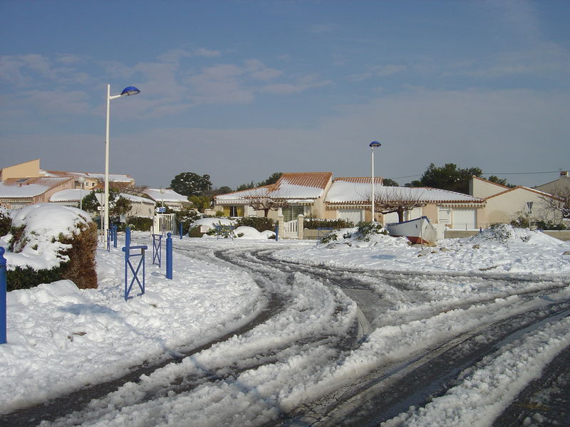 DSC00631