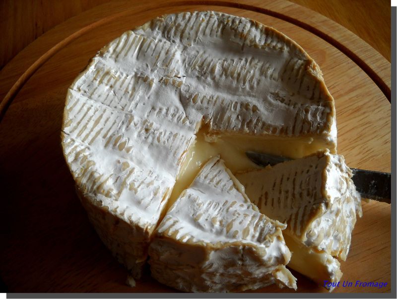 Les Fromages Album Photos Tout Un Fromage 