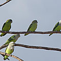P1140136