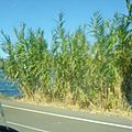 DSC02648