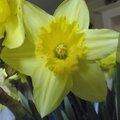 DSCF0443