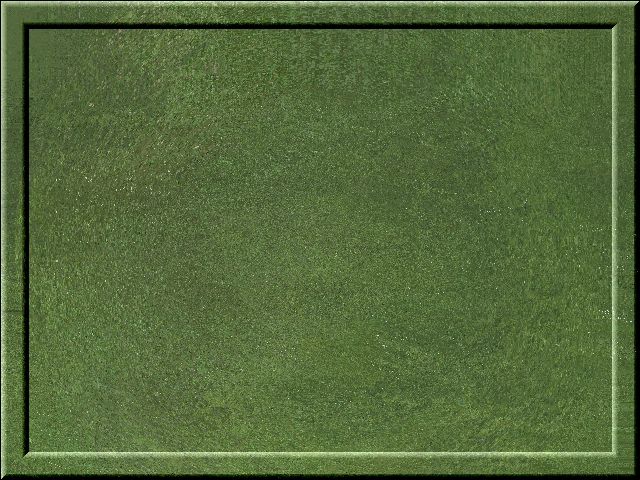 02-fond