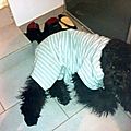 pyjama partie pour FIANNA de la DULLAGUE chez NICOLE