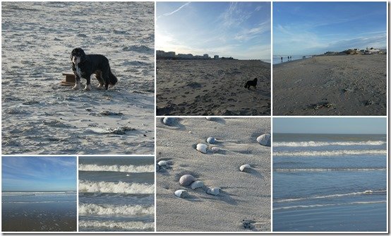 Berck Plage 1er janvier 20222
